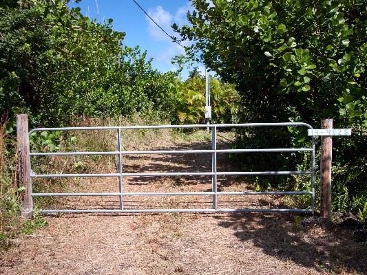 14-4825 La Maloo Road Pahoa, HI 96778 - Photo 20 of 25 a view of a yard with wooden floor and fence