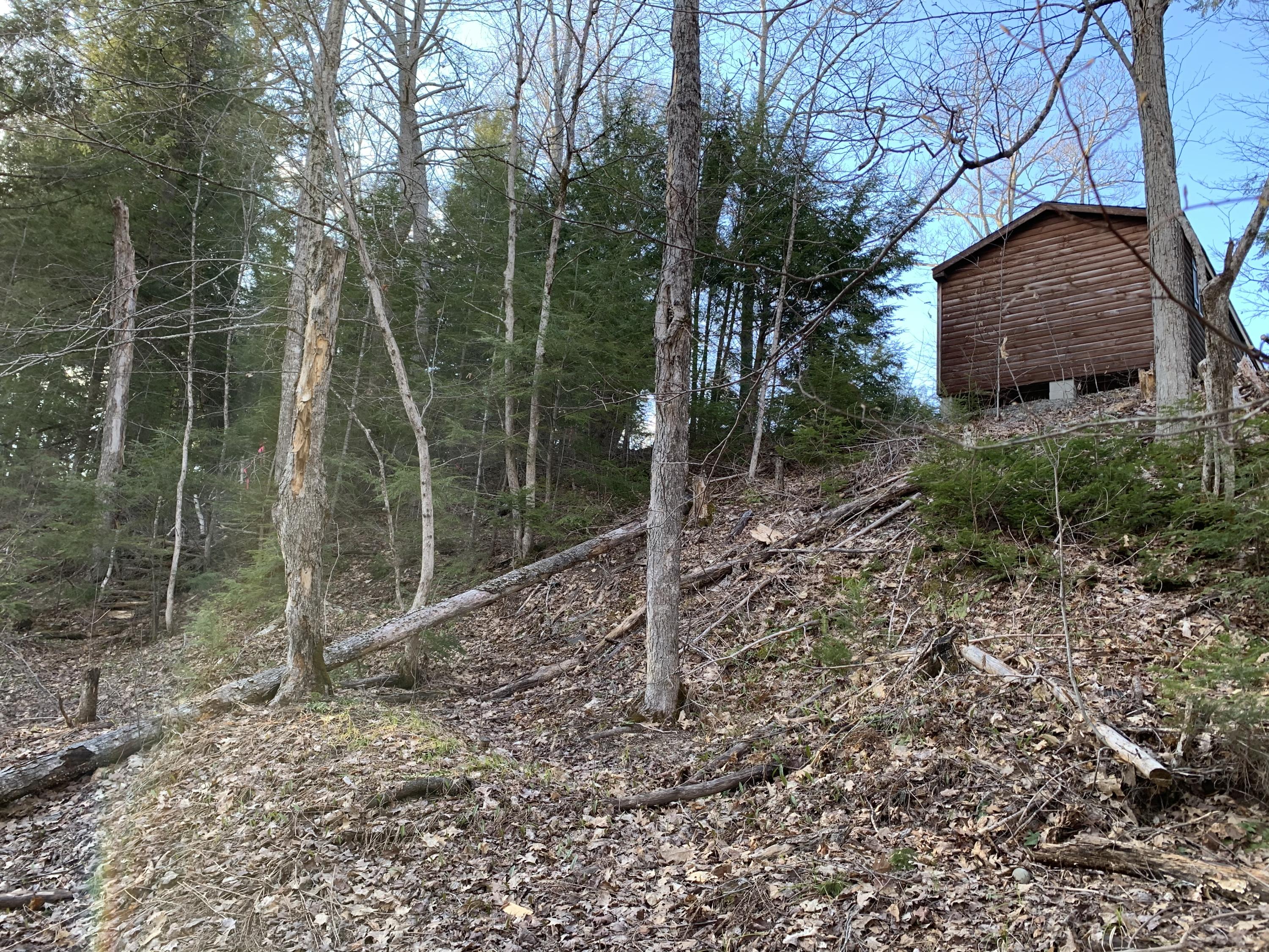 325 Emery Farm Road Milo, ME 04463 - Photo 24 of 39 A79AF420-15D8-4C5B-AE74-ADA685002BE4