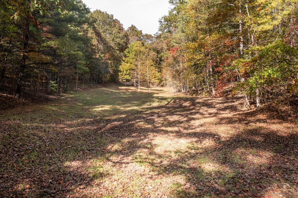 300 Springbrook Lane Murphy, NC 28906 - Photo 12 of 39 Gallery Image 12