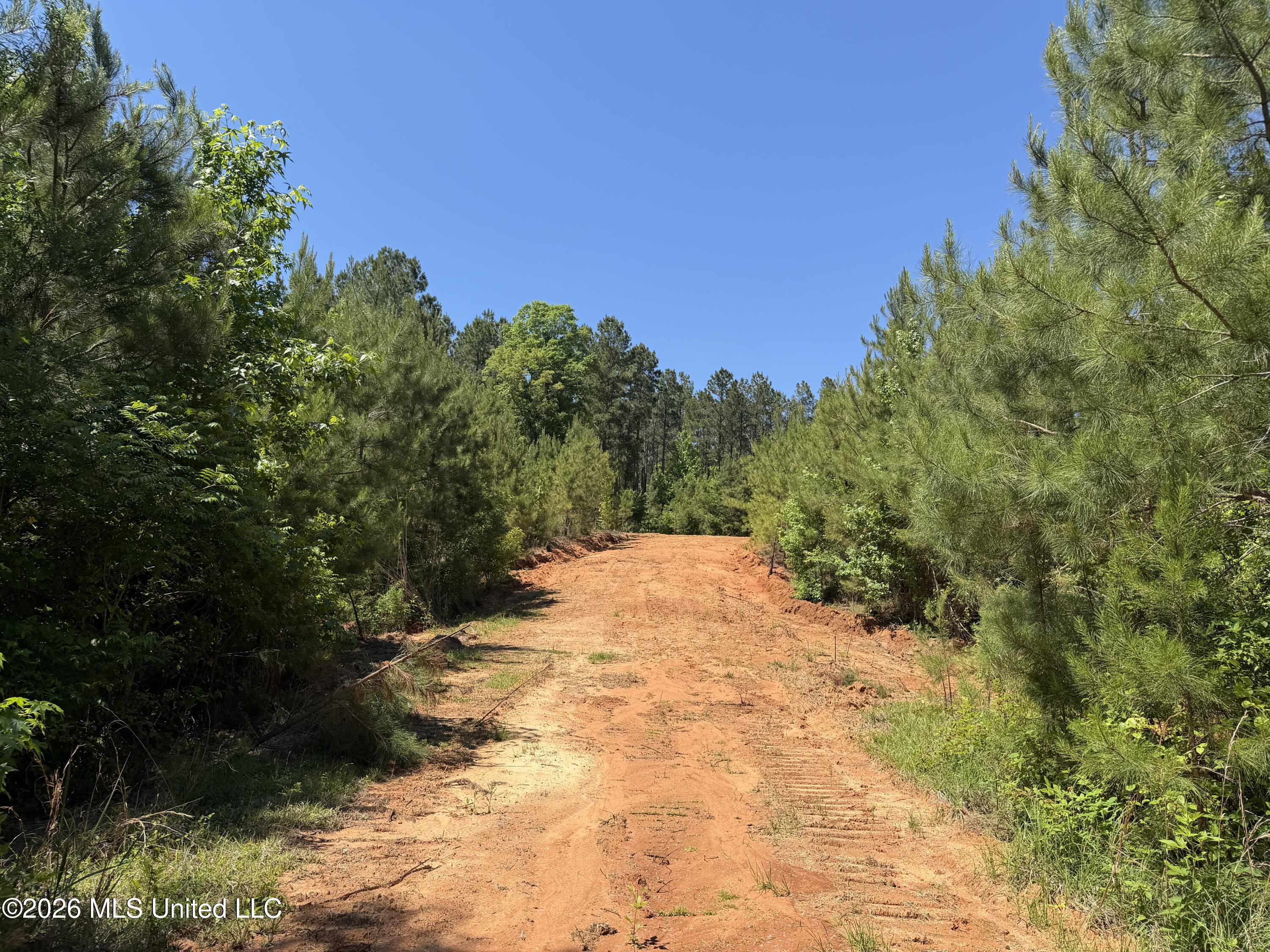 Couparle Road Camden, MS 39045 - Photo 3 of 47 3
