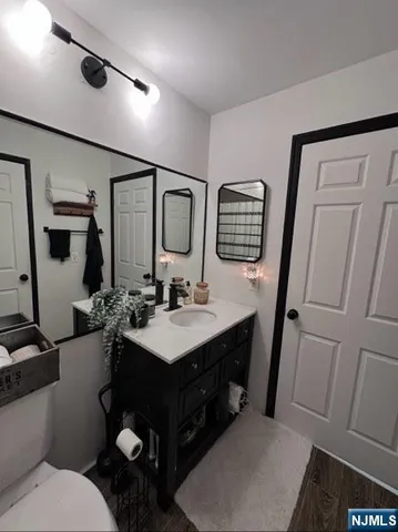 a bathroom with a sink toilet and mirror