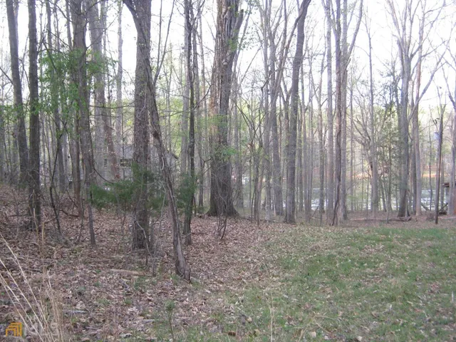 $175,000 | Lot 11 Riverbend Road, Lavonia, GA 30553