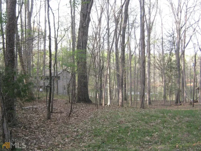 $175,000 | Lot 11 Riverbend Road, Lavonia, GA 30553
