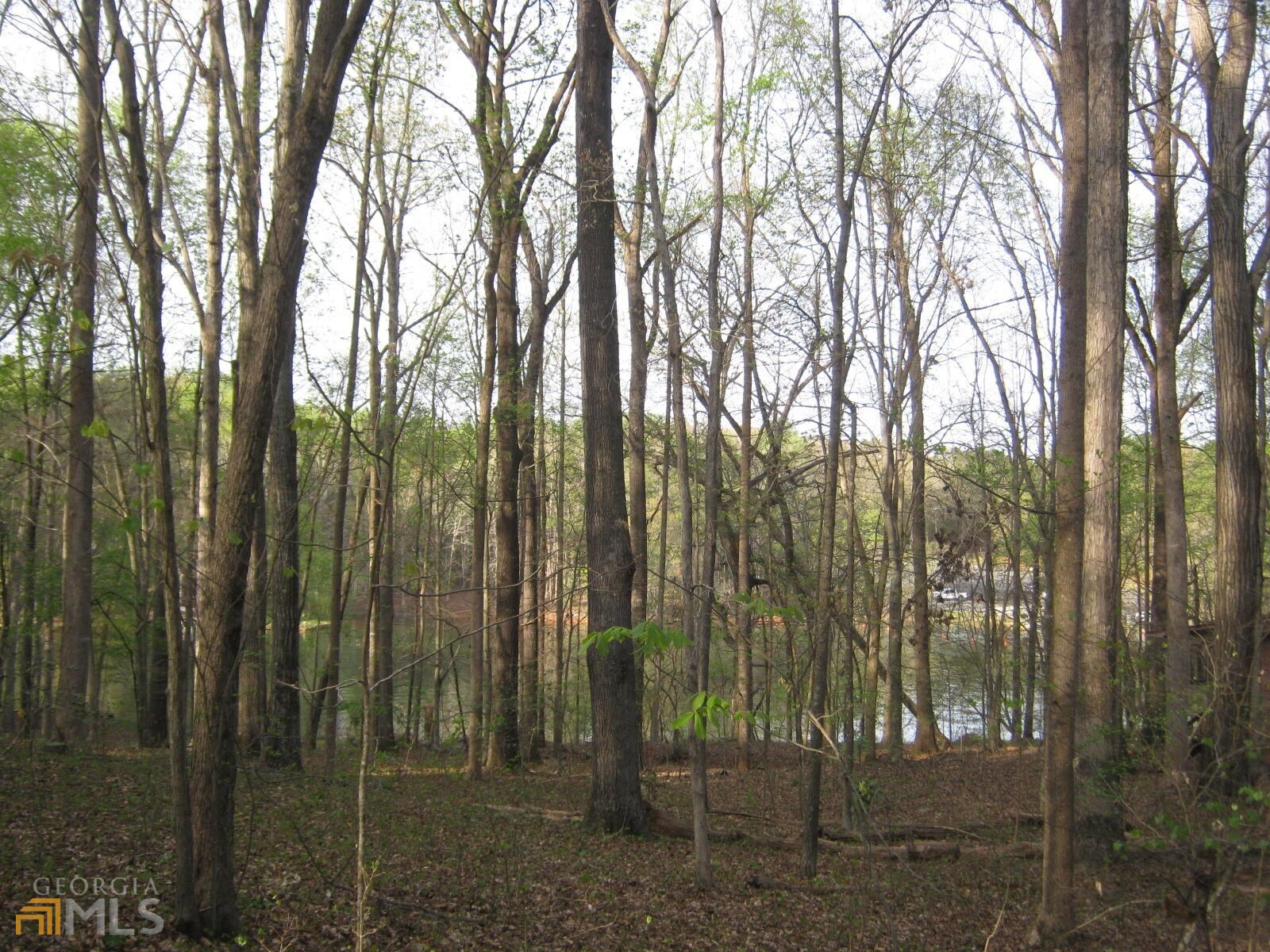 Lot 11 Riverbend Road Lavonia, GA 30553 - Photo 5 of 18