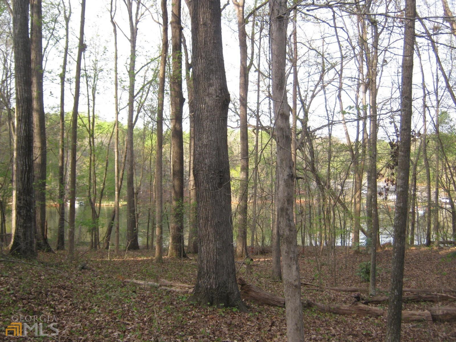 Lot 11 Riverbend Road Lavonia, GA 30553 - Photo 6 of 18