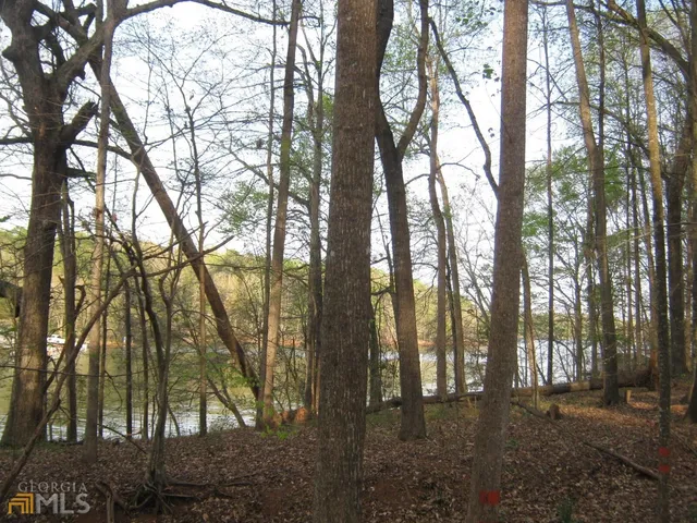 $175,000 | Lot 11 Riverbend Road, Lavonia, GA 30553