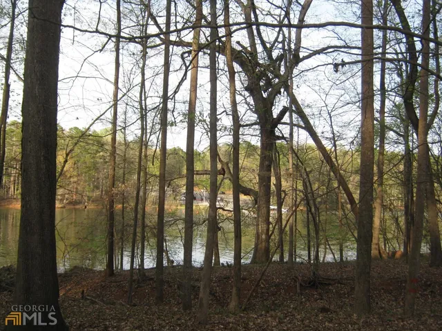 $175,000 | Lot 11 Riverbend Road, Lavonia, GA 30553