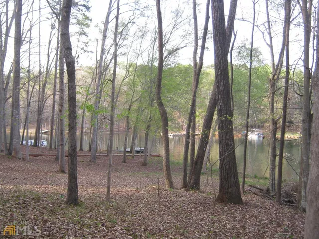 $175,000 | Lot 11 Riverbend Road, Lavonia, GA 30553