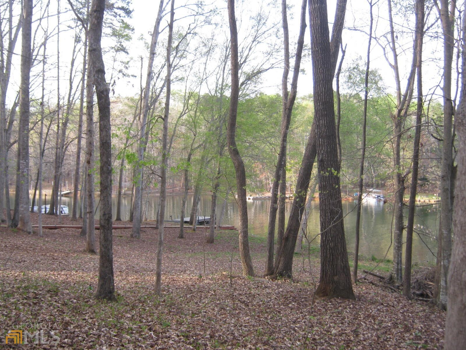 Lot 11 Riverbend Road Lavonia, GA 30553 - Photo 9 of 18