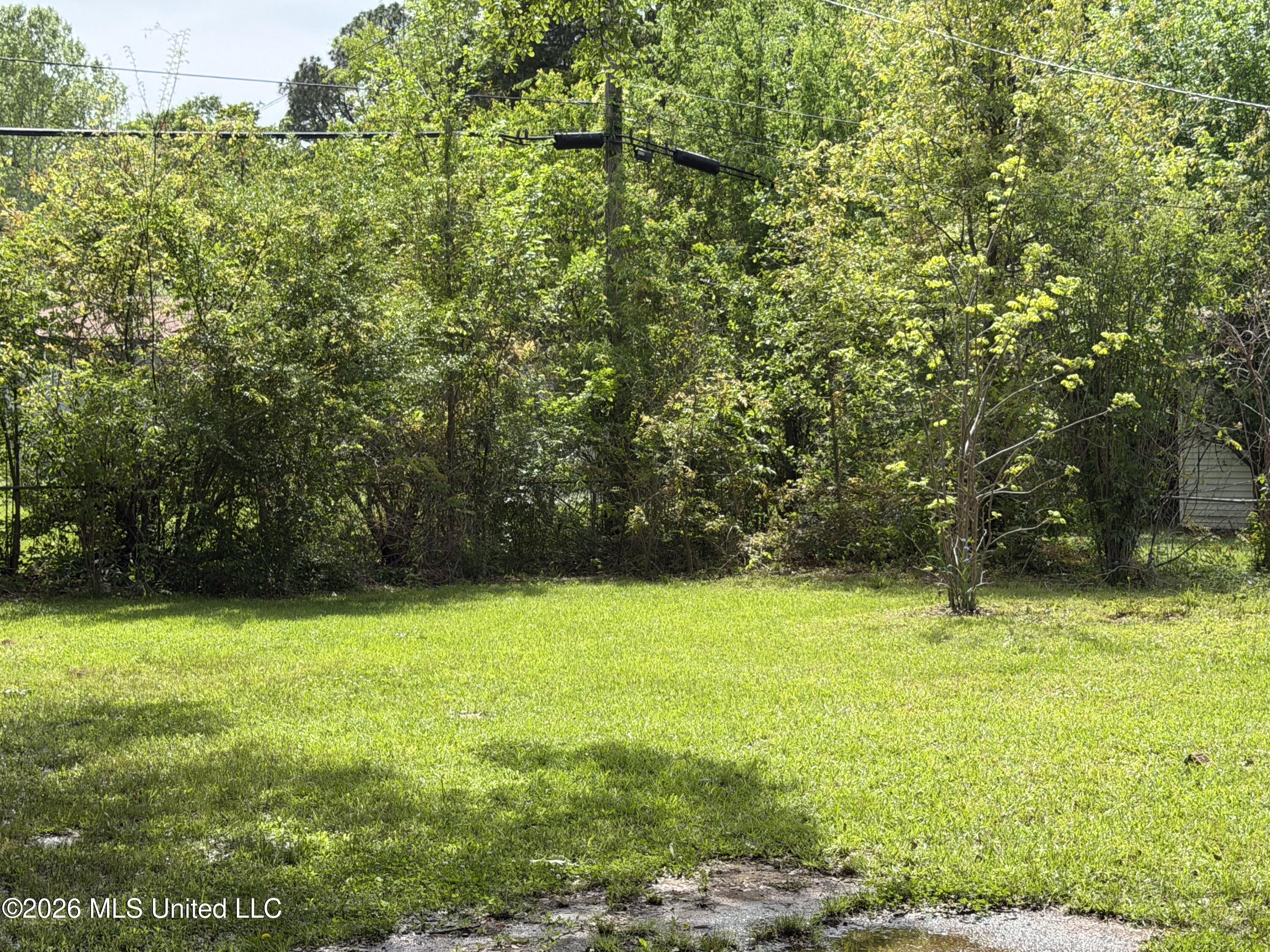 4131 Nancy Street Pearl, MS 39208 - Photo 11 of 13 IMG_7416