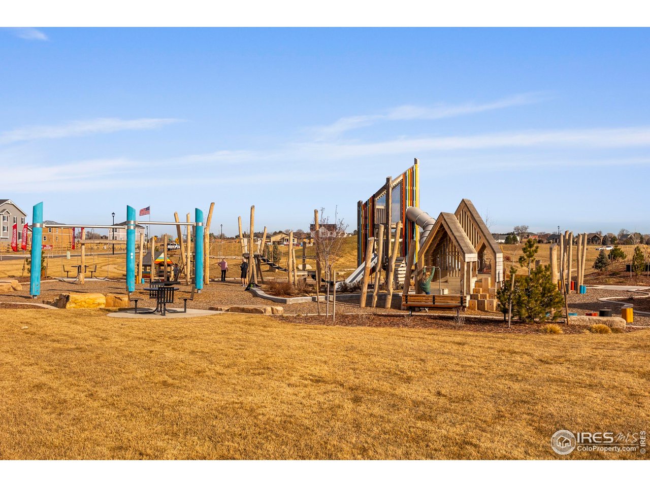 951 Rustling Street Windsor, CO 80550 - Photo 46 of 47 a view of walk in closet
