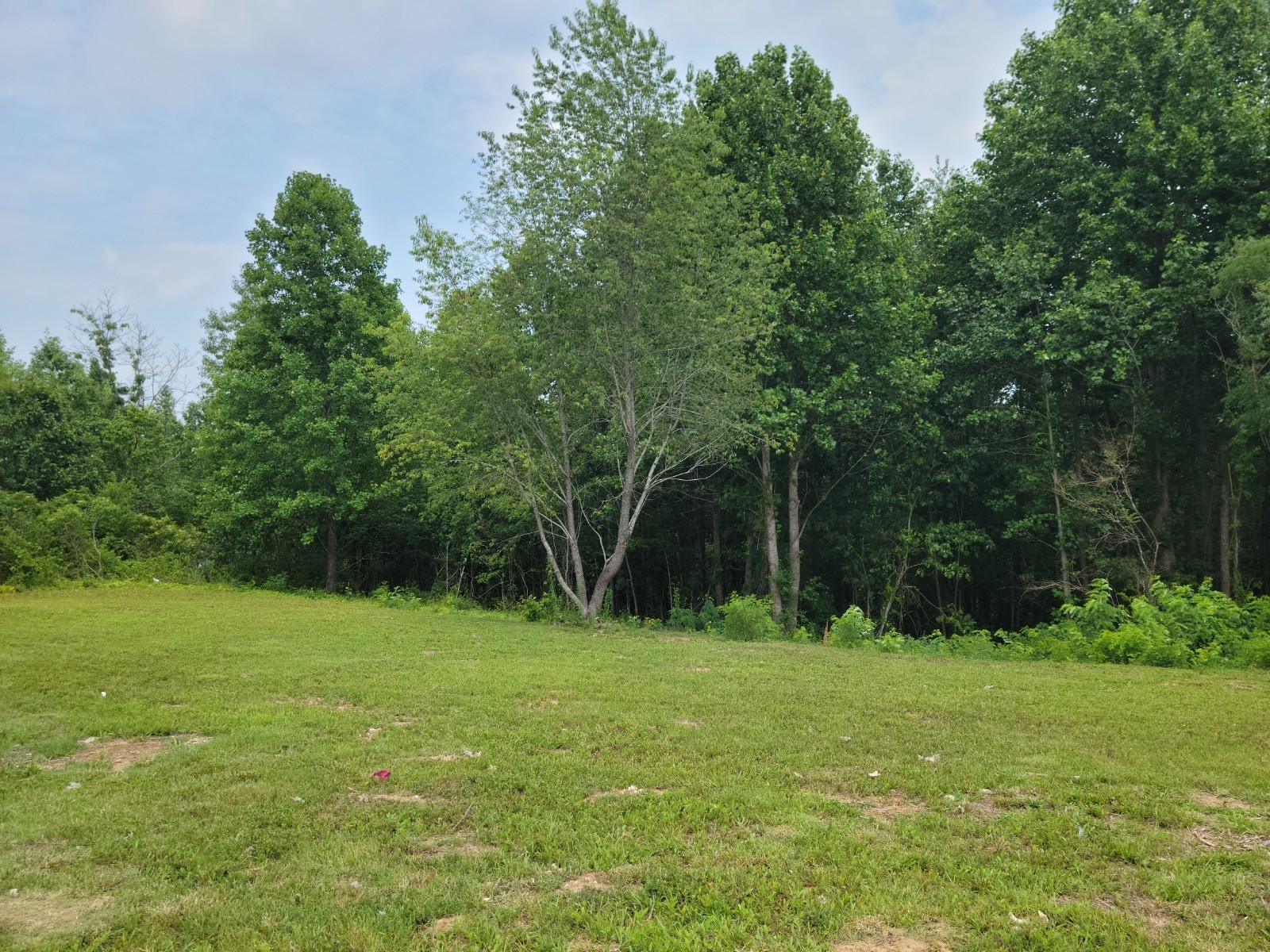 166 Happy Hollow Road Hohenwald, TN 38462 - Photo 1 of 5 Gallery Image 1
