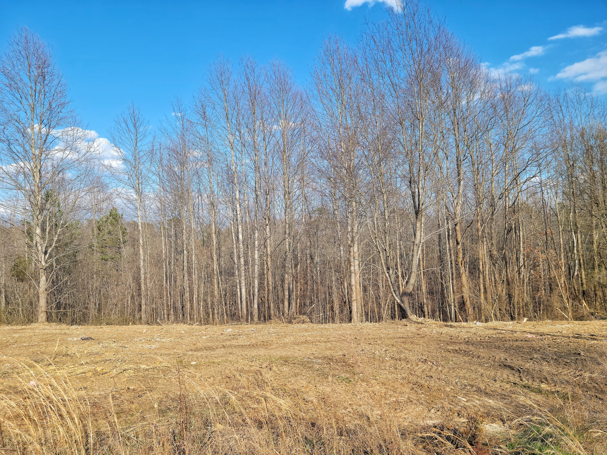 166 Happy Hollow Road Hohenwald, TN 38462 - Photo 3 of 5 Gallery Image 3