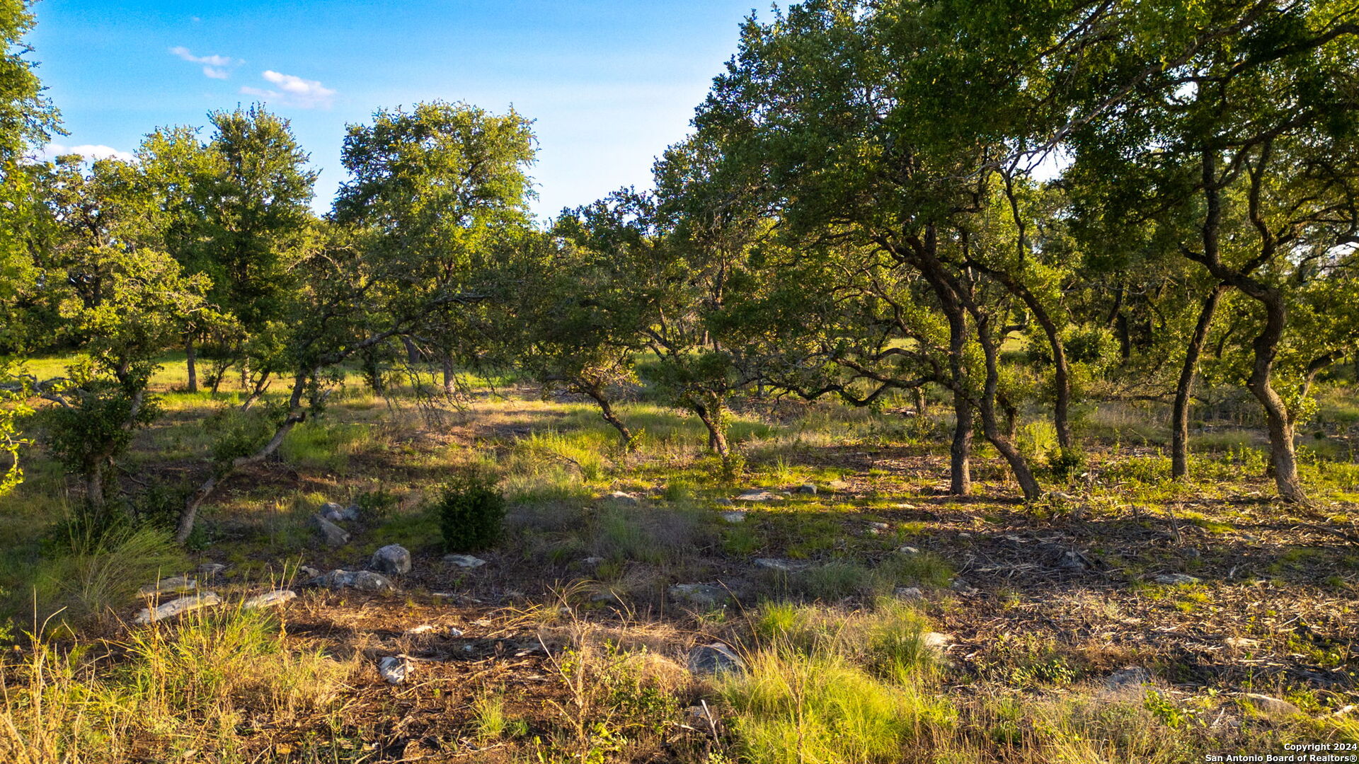 711 Blaze Rdg Boulevard Bulverde, TX 78163 - Photo 11 of 16 a view of yard