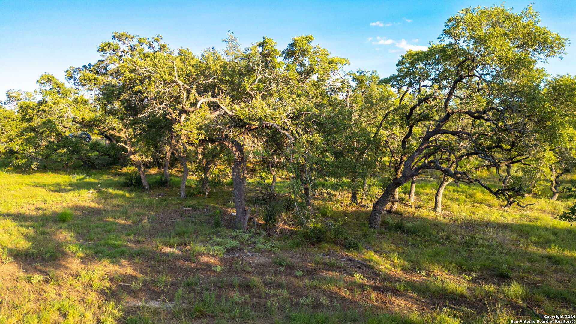 711 Blaze Rdg Boulevard Bulverde, TX 78163 - Photo 12 of 16 a backyard of a house with lots of green space