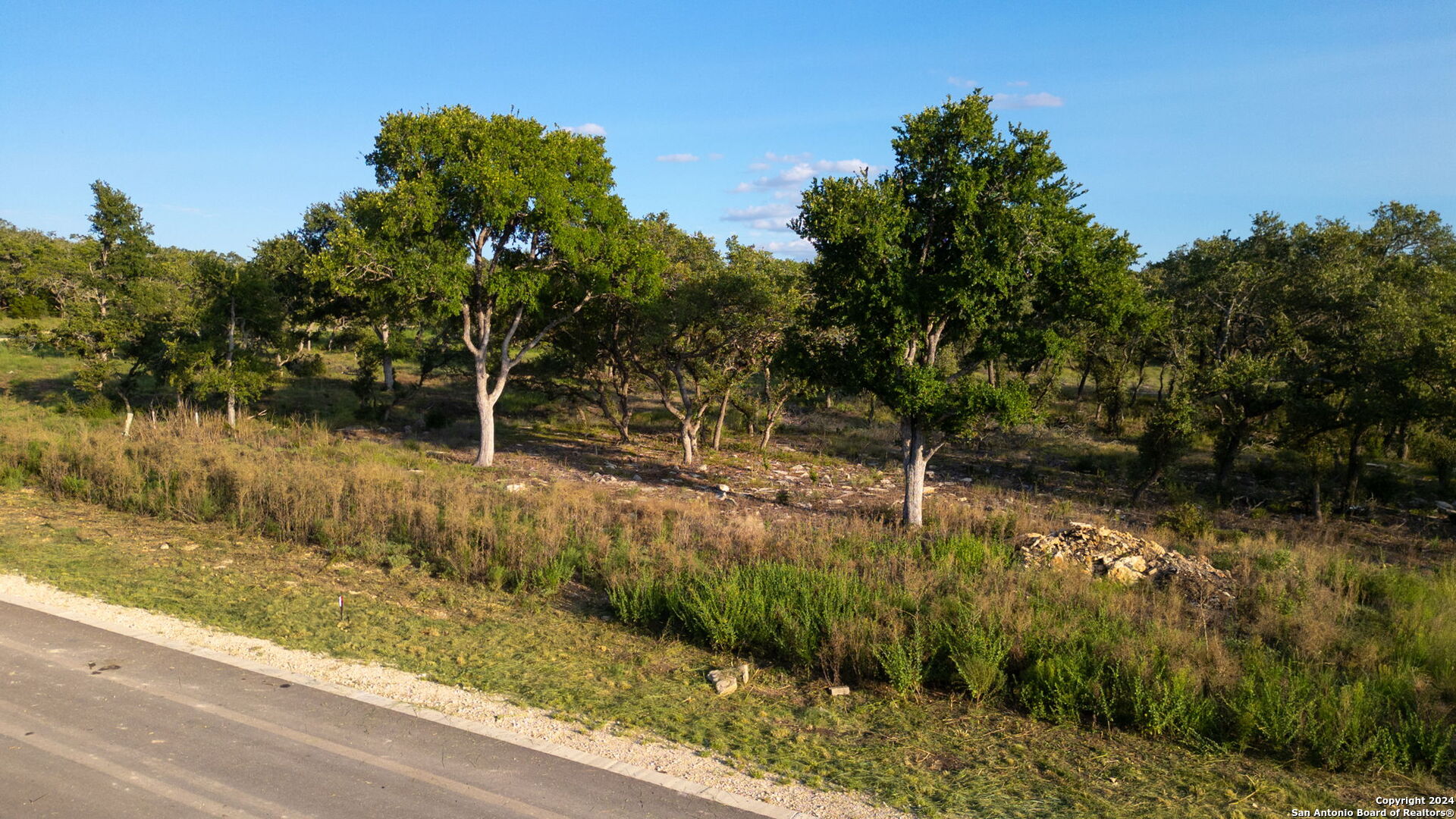 711 Blaze Rdg Boulevard Bulverde, TX 78163 - Photo 15 of 16 a backyard of a house with lots of green space