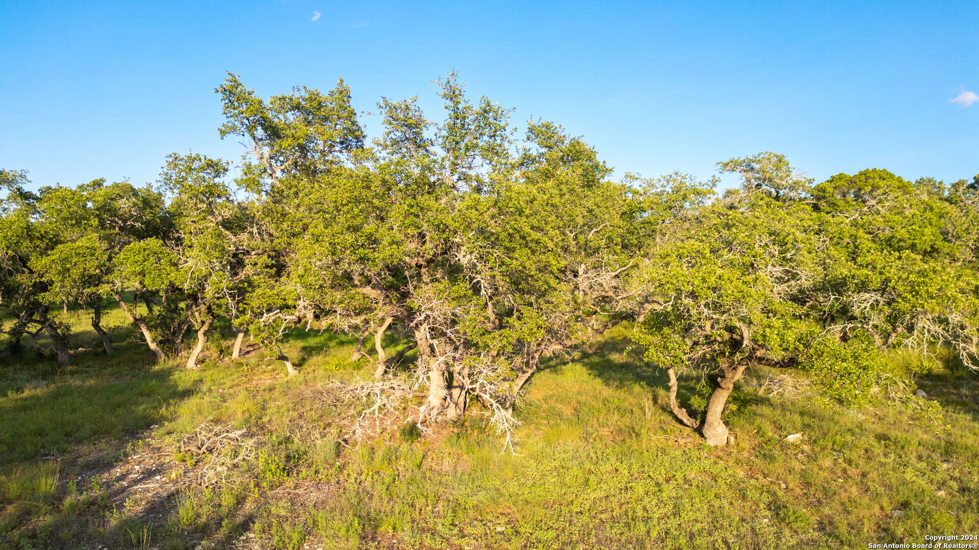 711 Blaze Rdg Boulevard Bulverde, TX 78163 - Photo 5 of 16