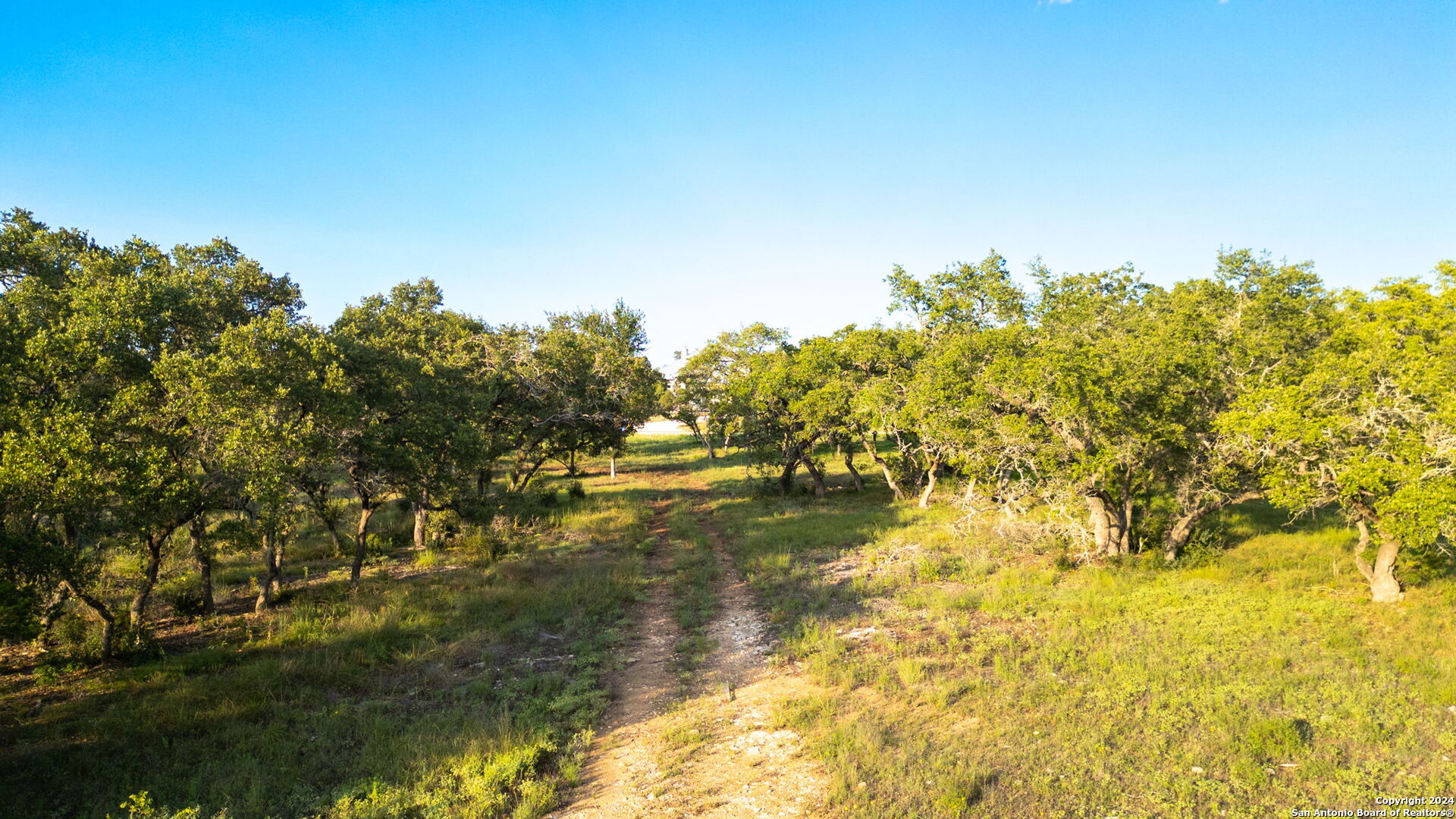 711 Blaze Rdg Boulevard Bulverde, TX 78163 - Photo 6 of 16 a view of lake view