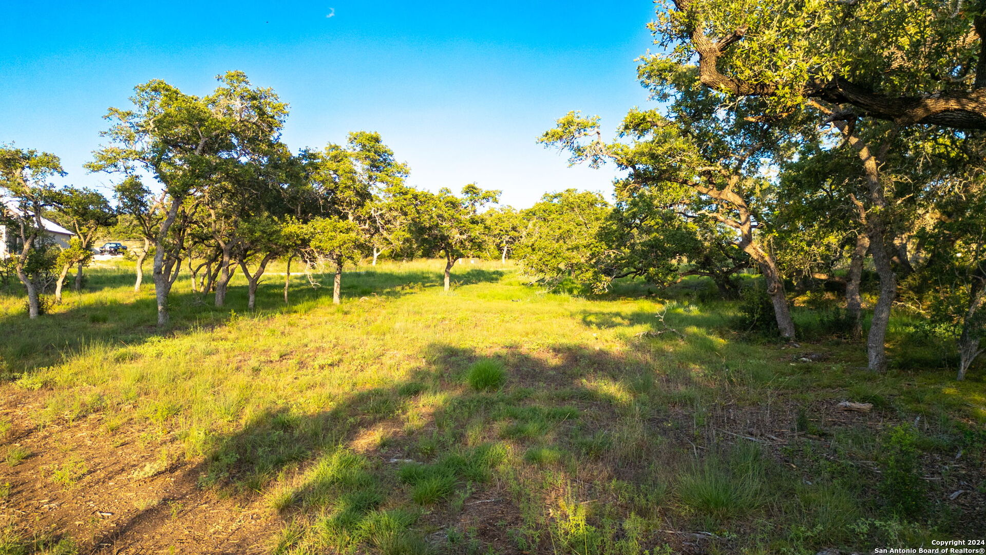 711 Blaze Rdg Boulevard Bulverde, TX 78163 - Photo 7 of 16 a view of yard with swimming pool and green space