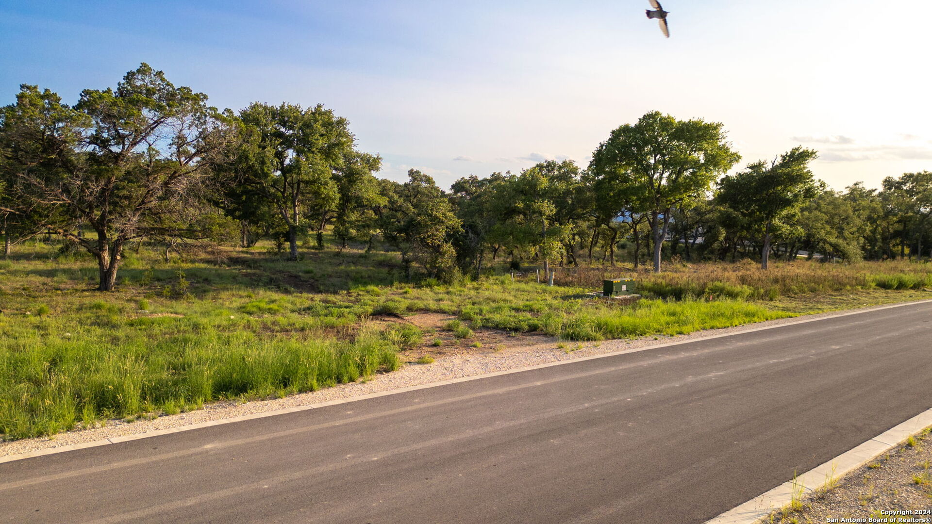 711 Blaze Rdg Boulevard Bulverde, TX 78163 - Photo 9 of 16 a view of a yard