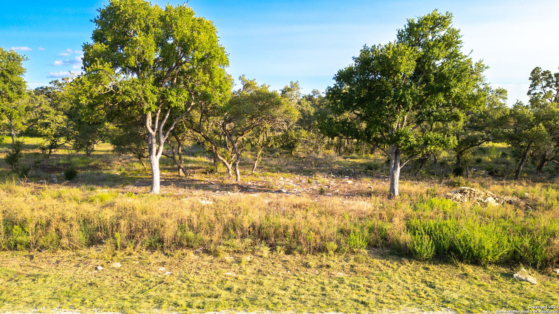 711 Blaze Rdg Boulevard Bulverde, TX 78163 - Photo 10 of 16 a view of yard with trees