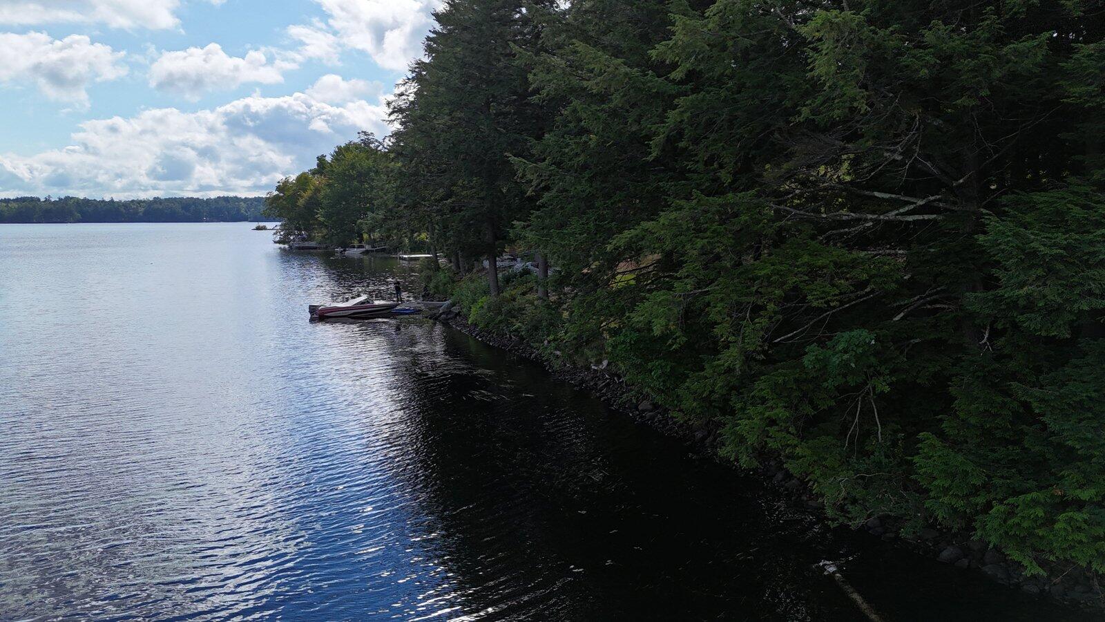 6 Lake Road Wilton, ME 04294 - Photo 41 of 60 36-DJI_20260824093452_0030_D