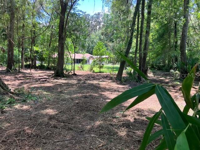 Griffin Road Brooksville, FL 34601 - Photo 1 of 1 Gallery Image 1