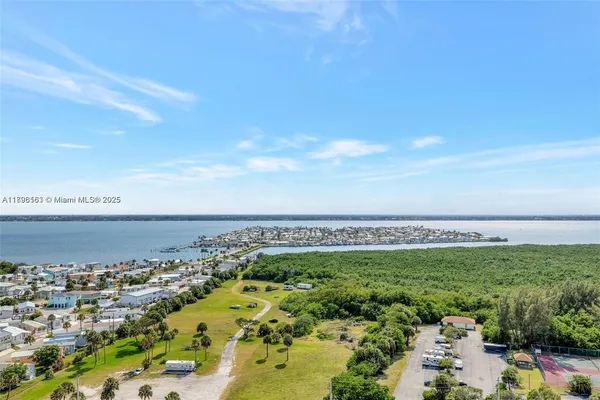 a view of a backyard with plants