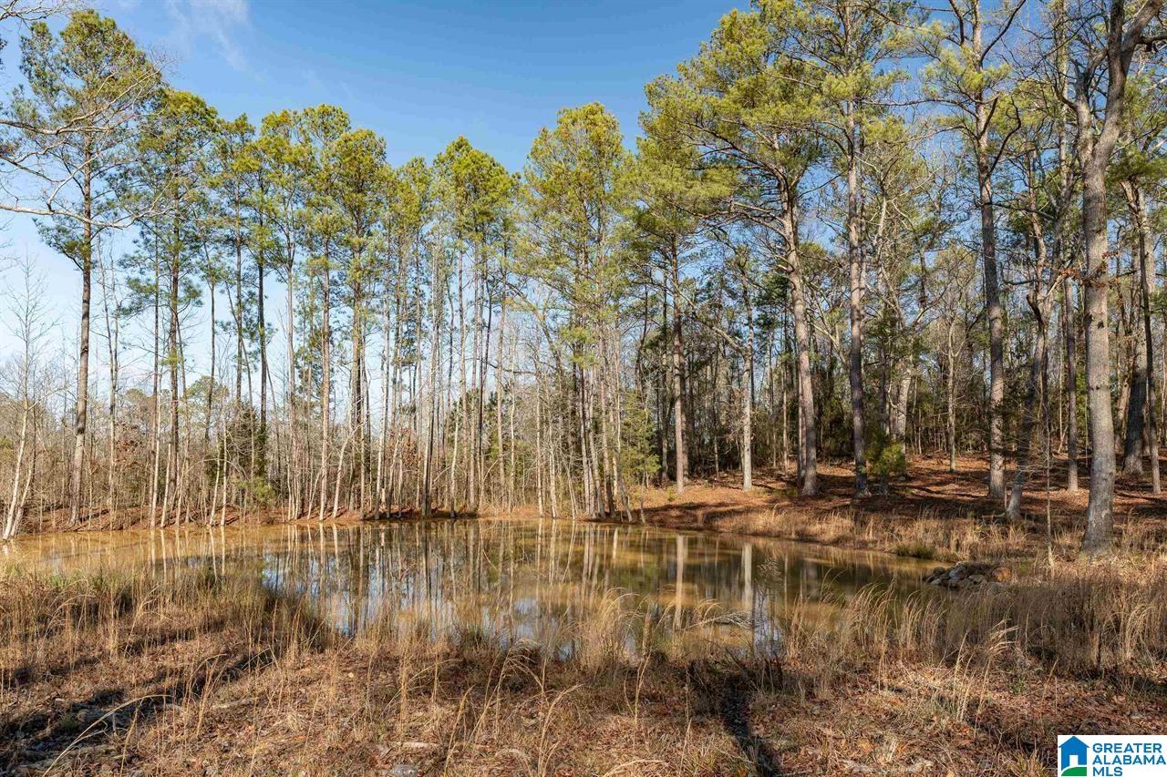 510 Cobb Road Oxford, AL 36203 - Photo 5 of 17