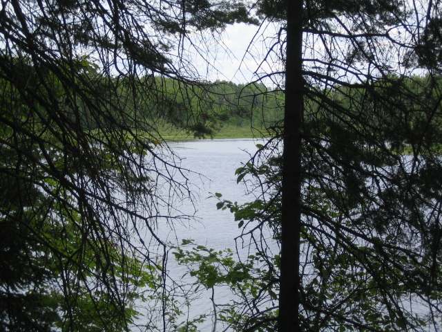 On Roebels Park Road Mercer, WI 54547 - Photo 10 of 20 Gallery Image 10