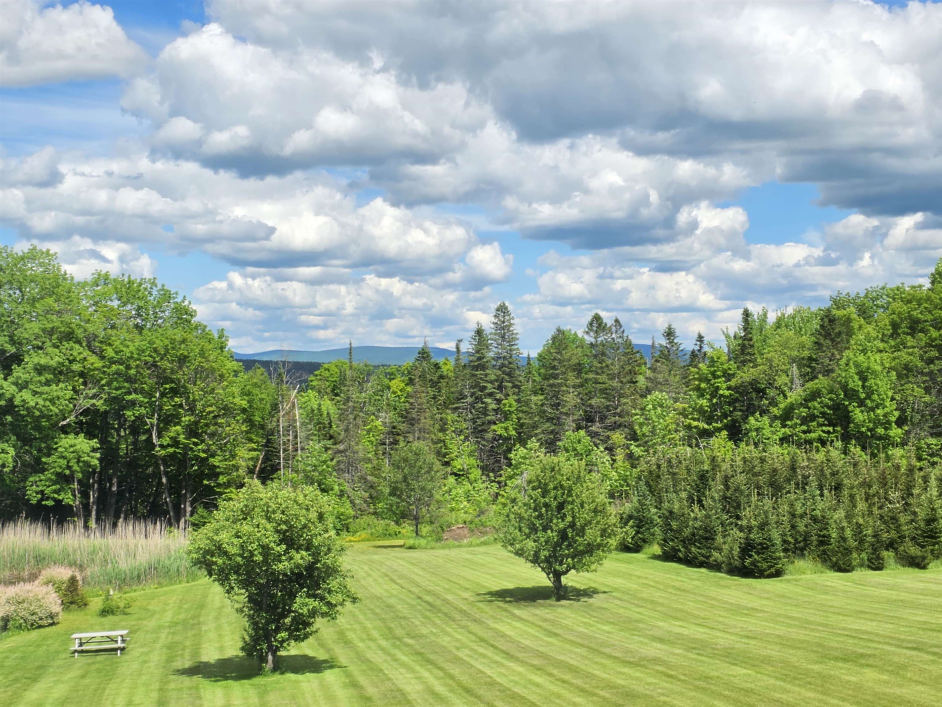 2810 Underpass Road Sutton, VT 05867 - Photo 16 of 51