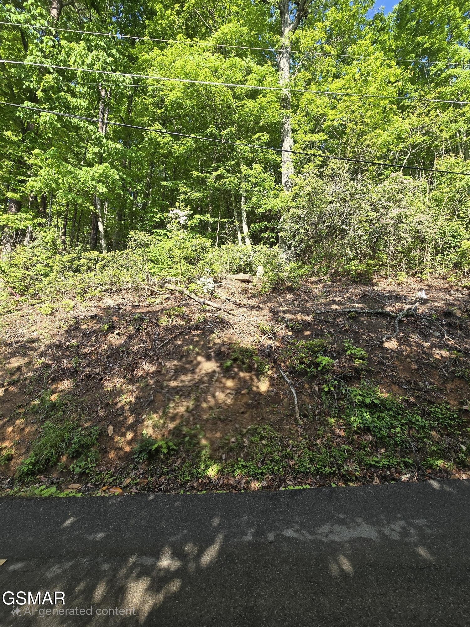 0 Zurich Road Gatlinburg, TN 37738 - Photo 24 of 24 Gallery Image 24