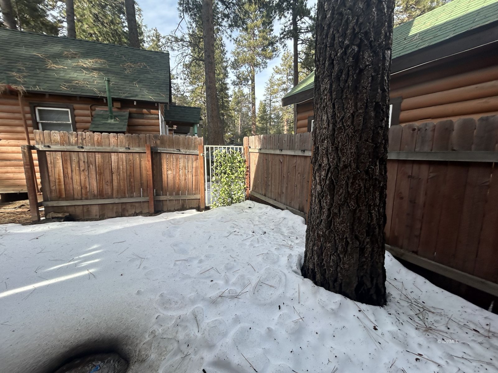 25055 Marion Ridge Drive, Unit 2 Idyllwild, CA 92549 - Photo 17 of 17 a backyard of a house
