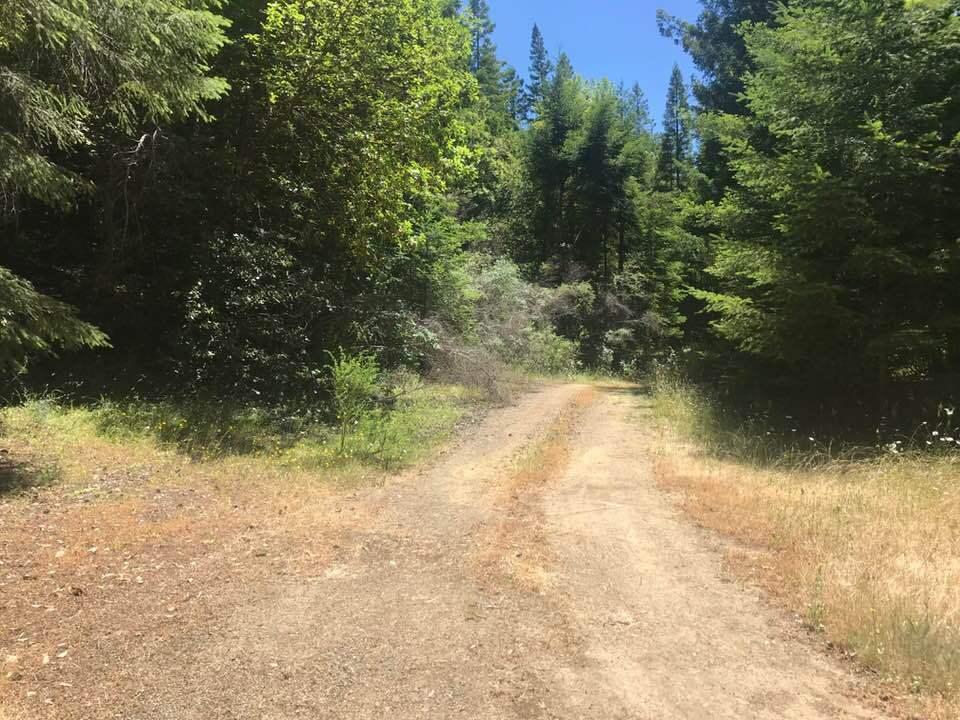 0 Dyerville Loop Road Redcrest, CA 95569 - Photo 1 of 11