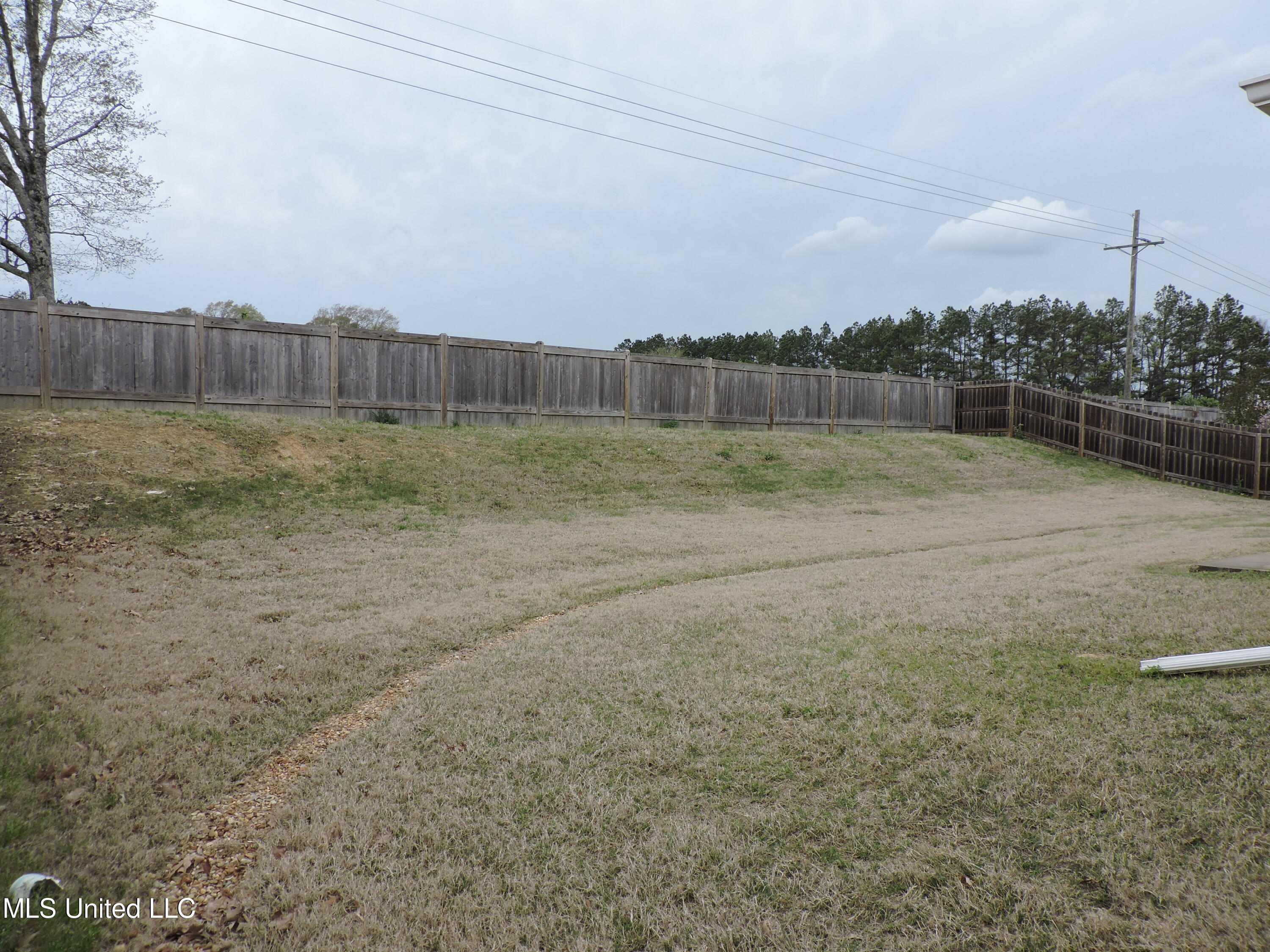 158 Western Ridge Circle Canton, MS 39046 - Photo 40 of 41 DSCN4636