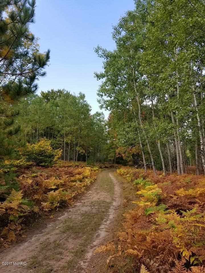 37 1/2 37 1/2 Road Manton, MI 49663 - Photo 14 of 27