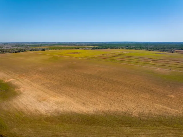 $4,327,500 | Xxxx Rocky Creek Road, Marianna, FL 32446