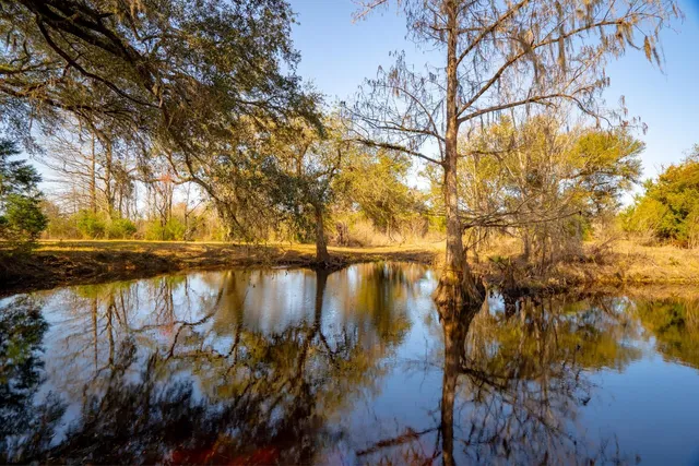 $4,327,500 | Xxxx Rocky Creek Road, Marianna, FL 32446