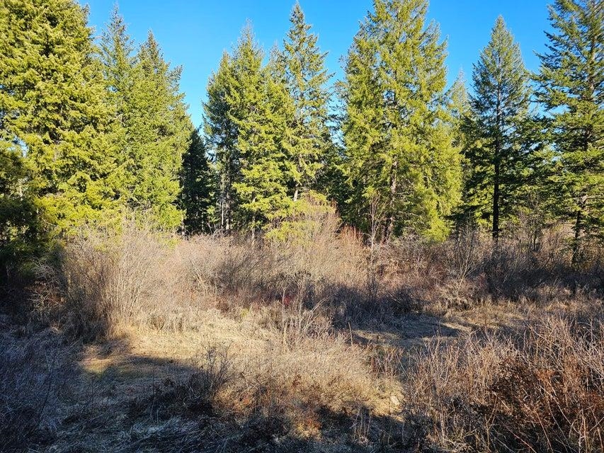 3378 F Hill Loop Road Kettle Falls, WA 99141 - Photo 18 of 32 Gallery Image 18