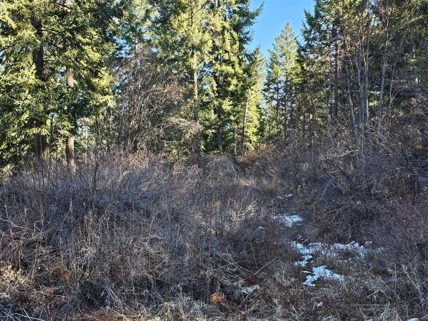 3378 F Hill Loop Road Kettle Falls, WA 99141 - Photo 19 of 32 Gallery Image 19