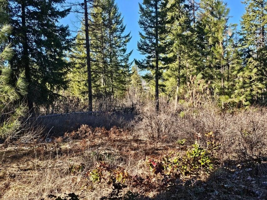 3378 F Hill Loop Road Kettle Falls, WA 99141 - Photo 20 of 32 Gallery Image 20