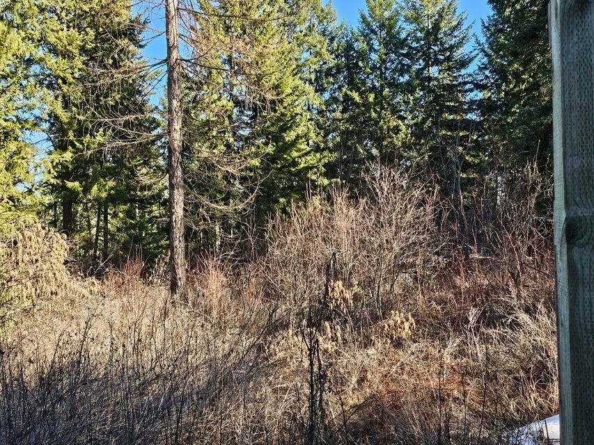 3378 F Hill Loop Road Kettle Falls, WA 99141 - Photo 21 of 32 Gallery Image 21