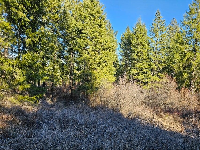 3378 F Hill Loop Road Kettle Falls, WA 99141 - Photo 23 of 32 Gallery Image 23