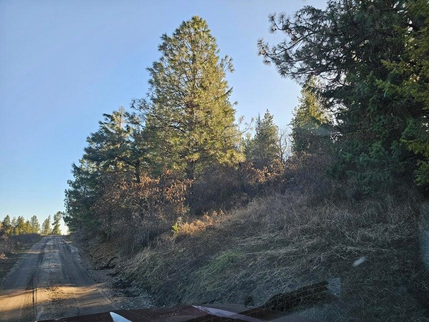 3378 F Hill Loop Road Kettle Falls, WA 99141 - Photo 26 of 32 Gallery Image 26