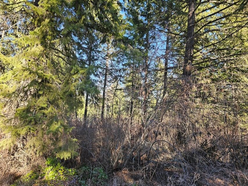 3378 F Hill Loop Road Kettle Falls, WA 99141 - Photo 27 of 32 Gallery Image 27