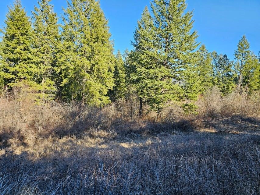 3378 F Hill Loop Road Kettle Falls, WA 99141 - Photo 3 of 32 Gallery Image 3