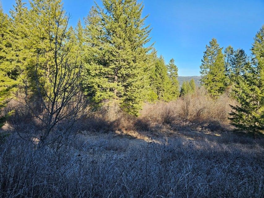 3378 F Hill Loop Road Kettle Falls, WA 99141 - Photo 4 of 32 Gallery Image 4