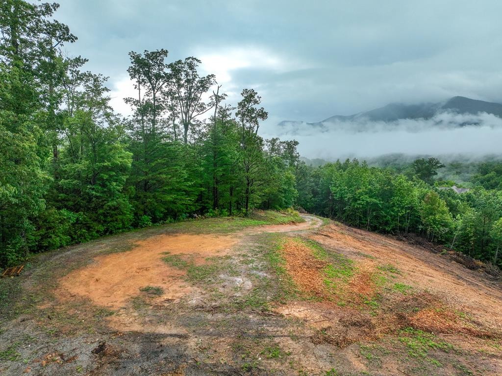 264 Sonshine Ridge Road Cosby, TN 37722 - Photo 29 of 34 Gallery Image 29