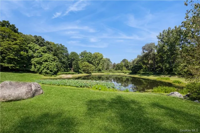 a view of lake with green space