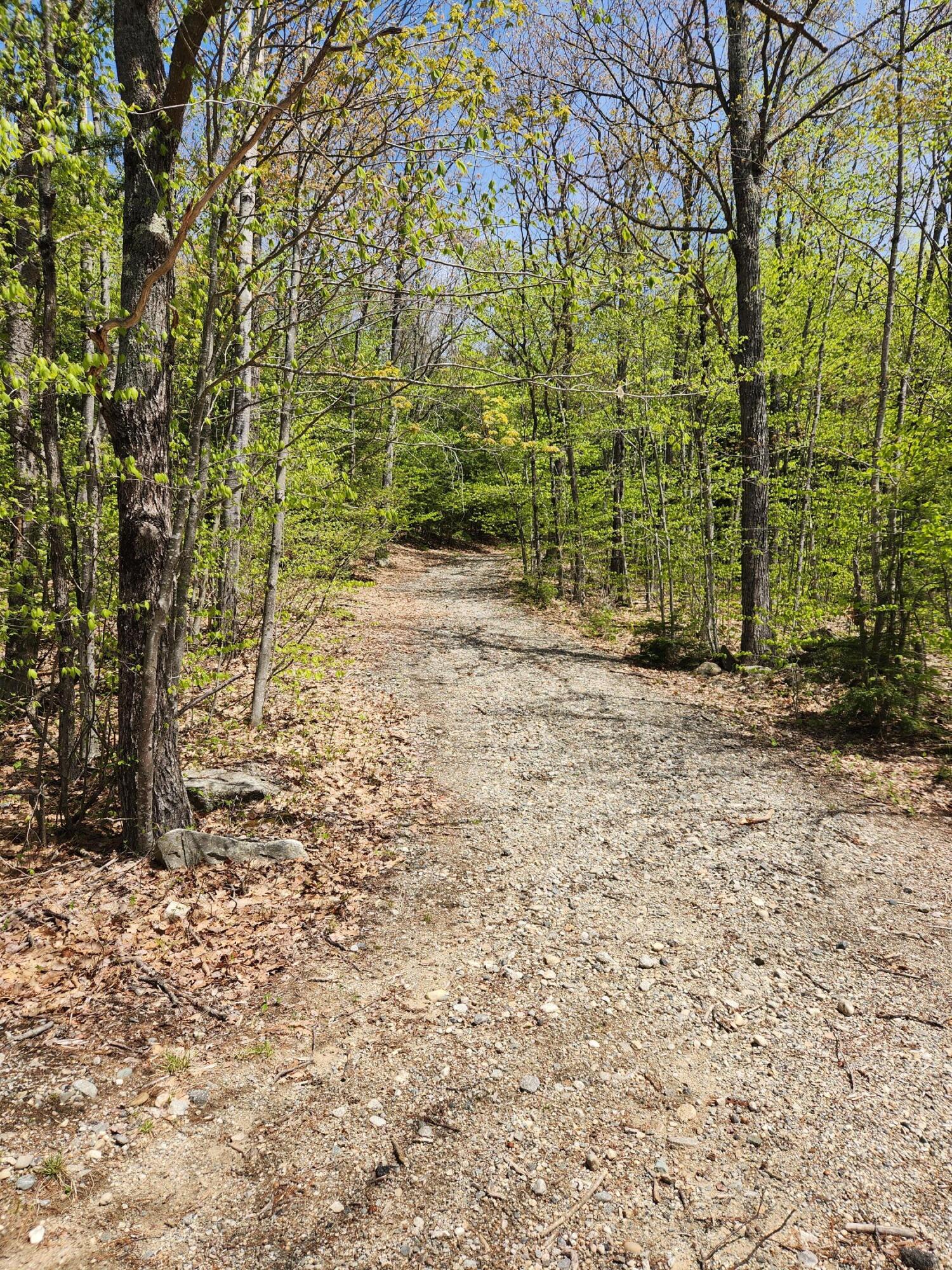 286 Staples Hill Road Canton, ME 04221 - Photo 61 of 118 20260516_130617